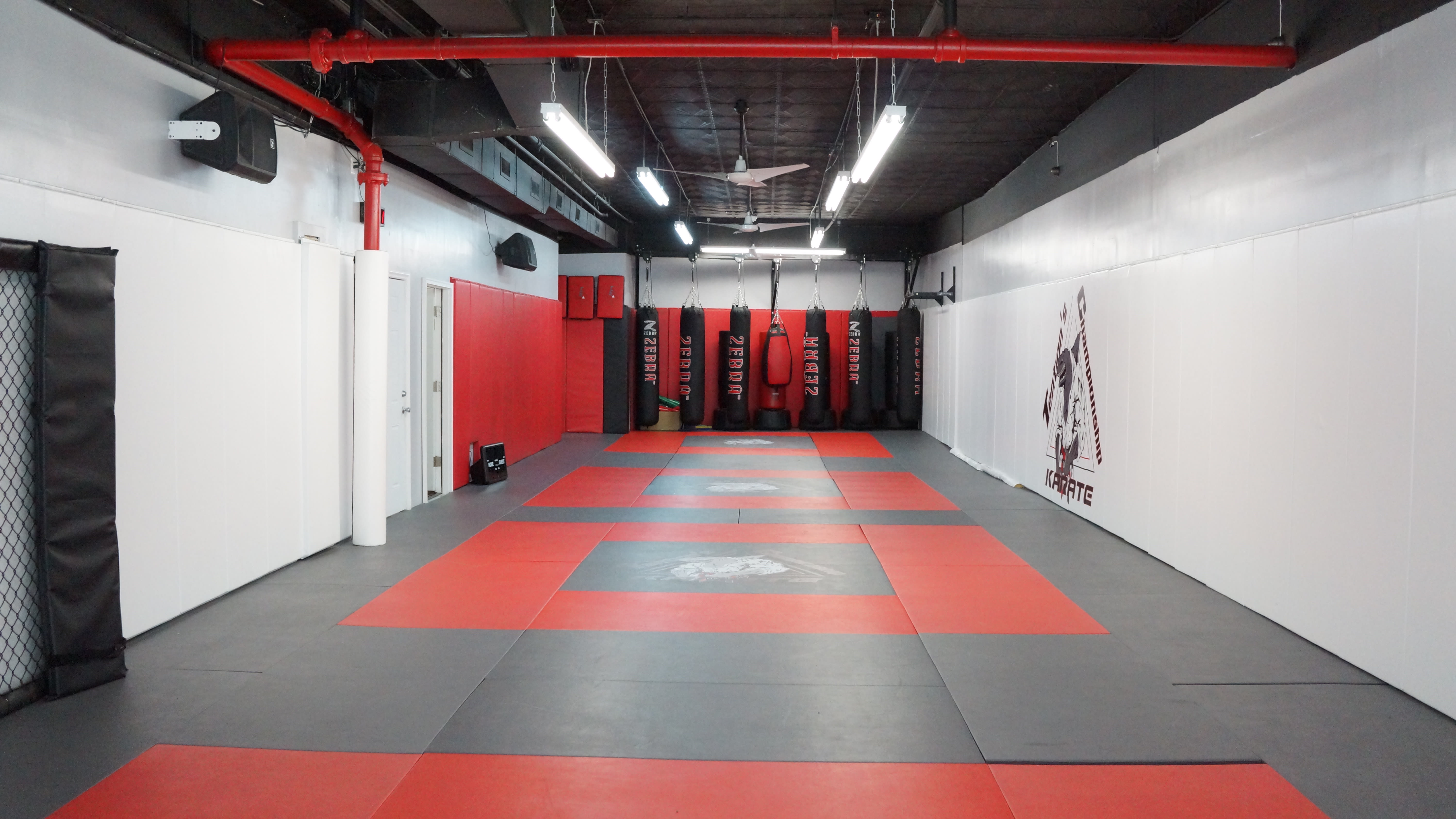 Kids Martial Arts near Bronx