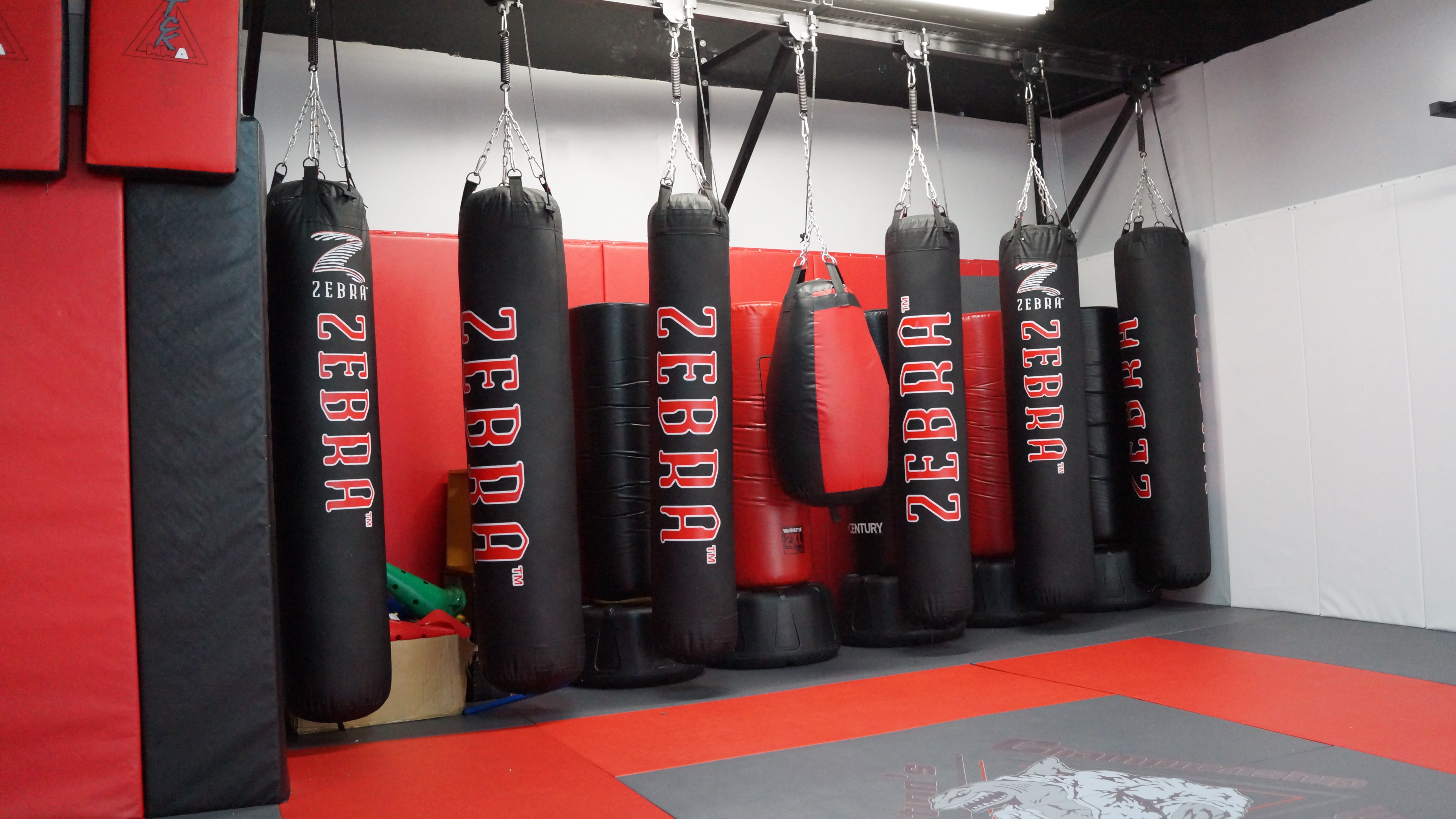 Kids Martial Arts near Bronx