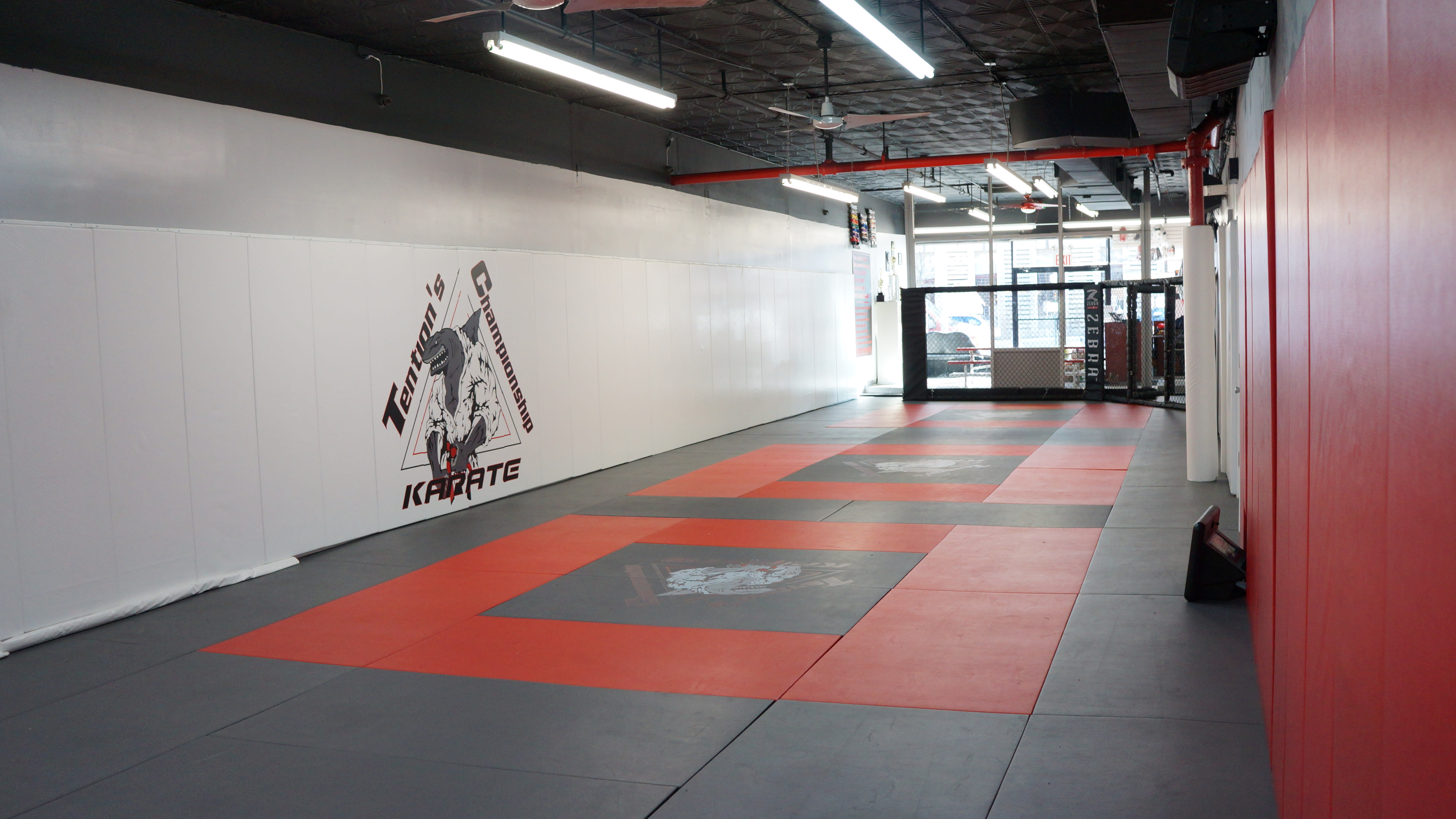 Kids Martial Arts near Bronx