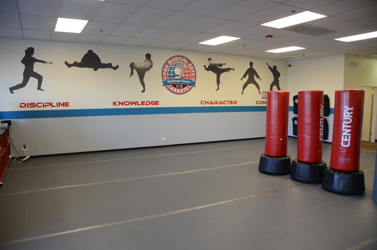 Naperville Martial Arts