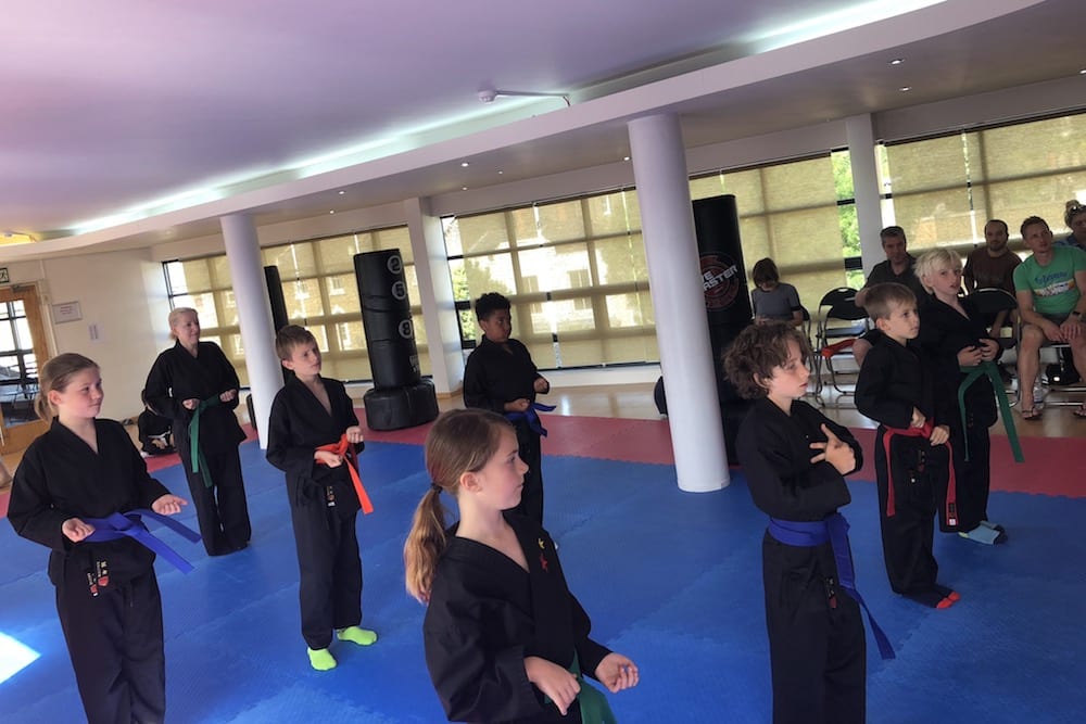 Wandsworth Kids Martial Arts BMS WooShoo Wandsworth, United Kingdom