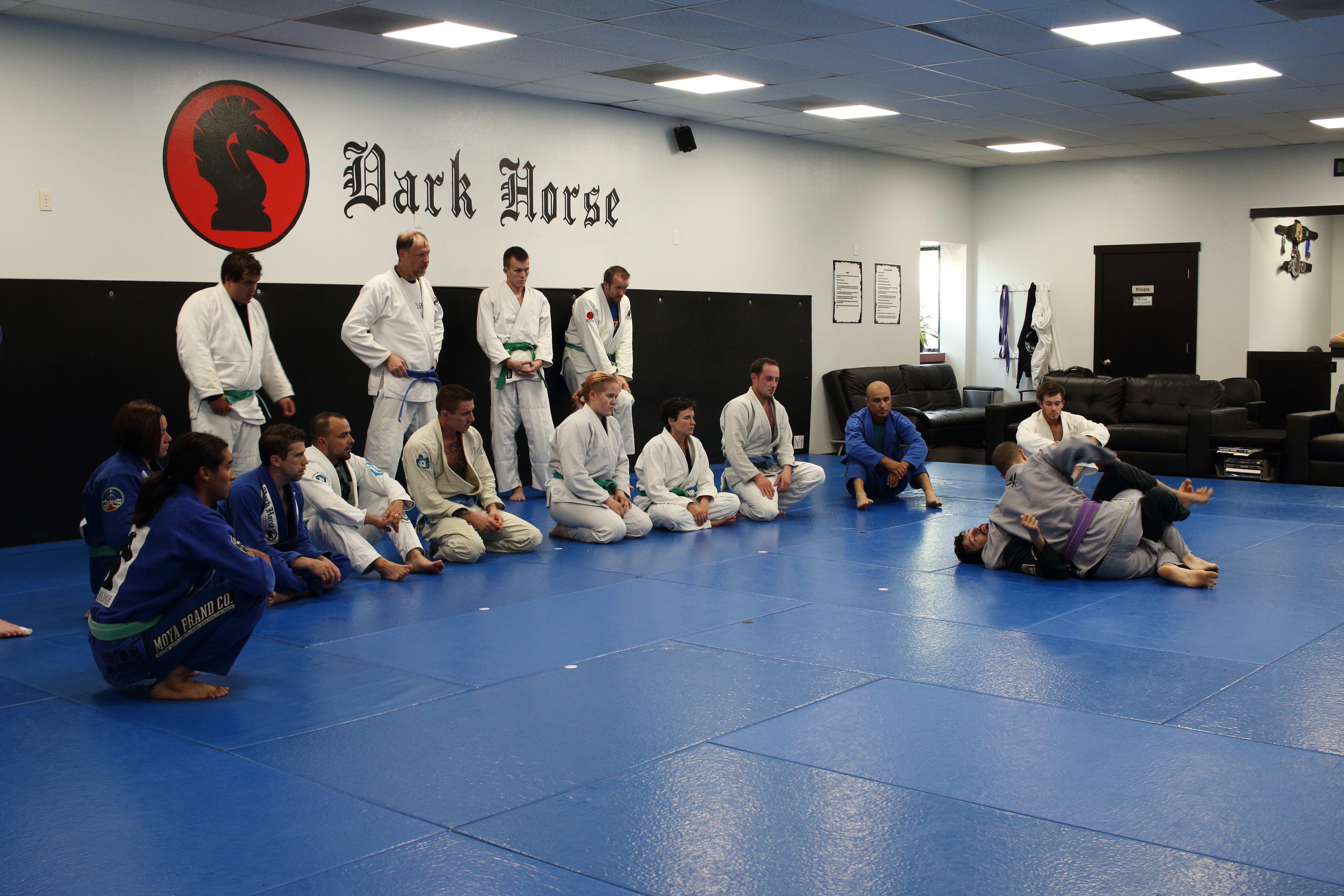 Which Martial Art is Best for Me?