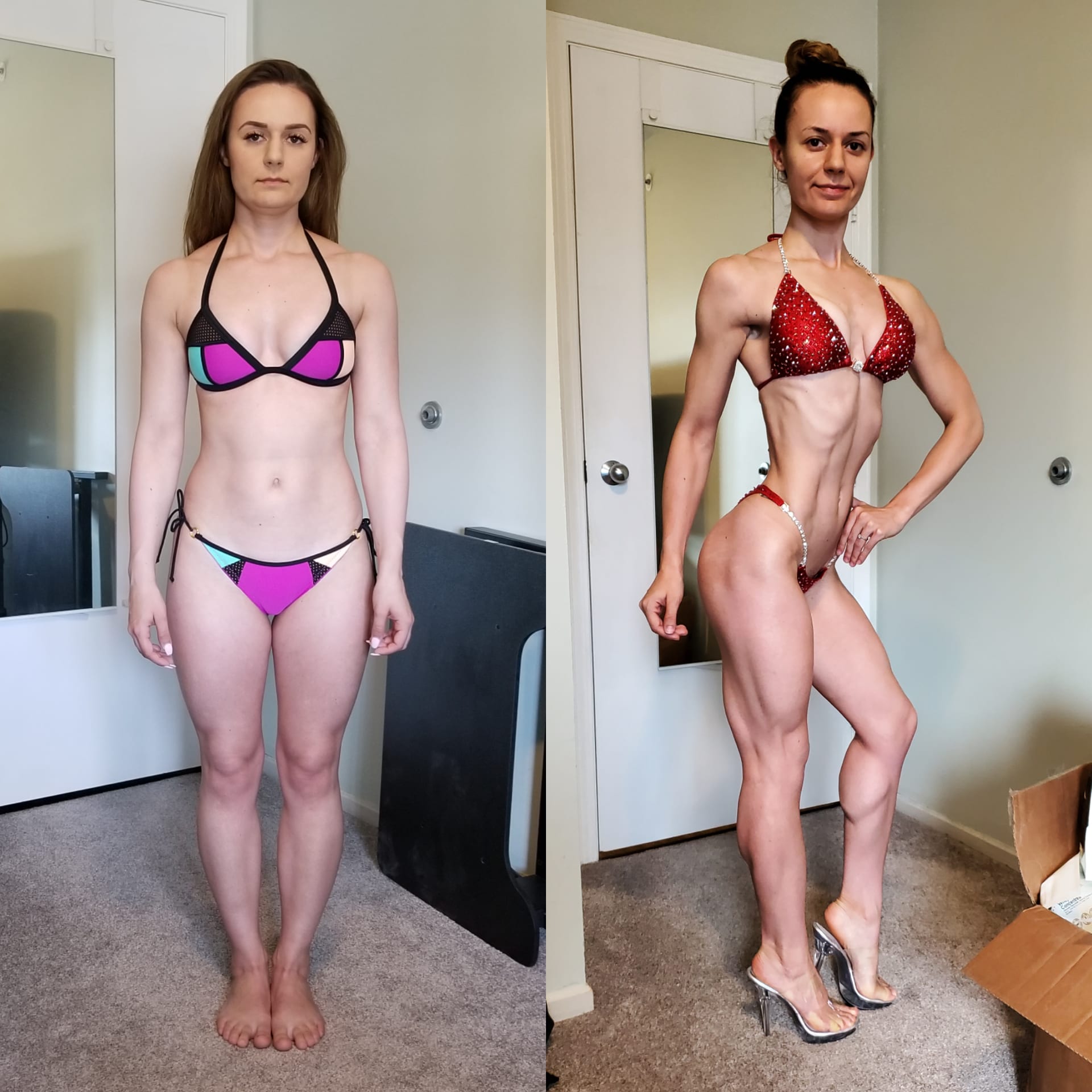 bulking and cutting for female beginners