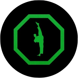 Kids Martial Arts near Missouri City