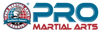 Kids Martial Arts Lake Orion 