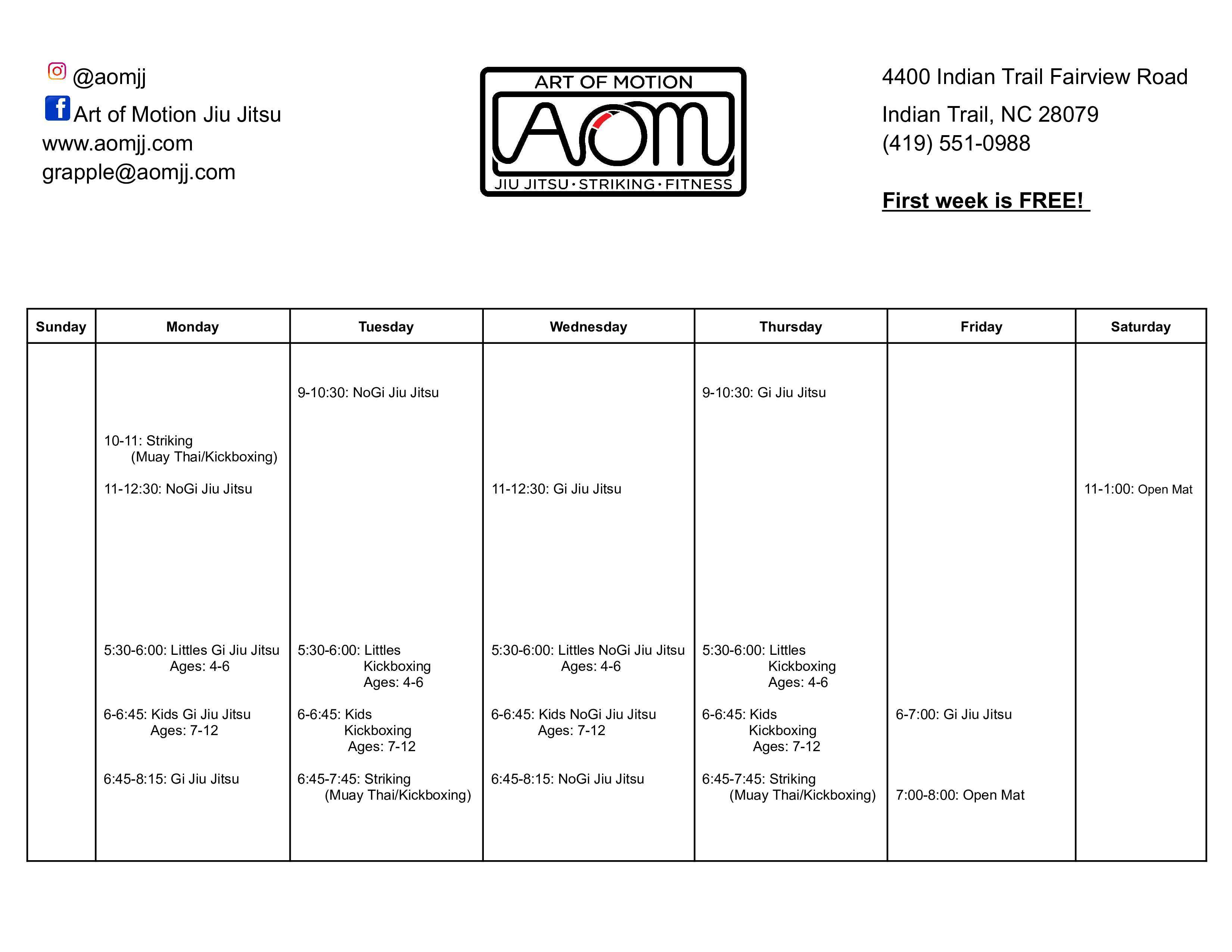 Art Of Motion Jiu Jitsu Schedule