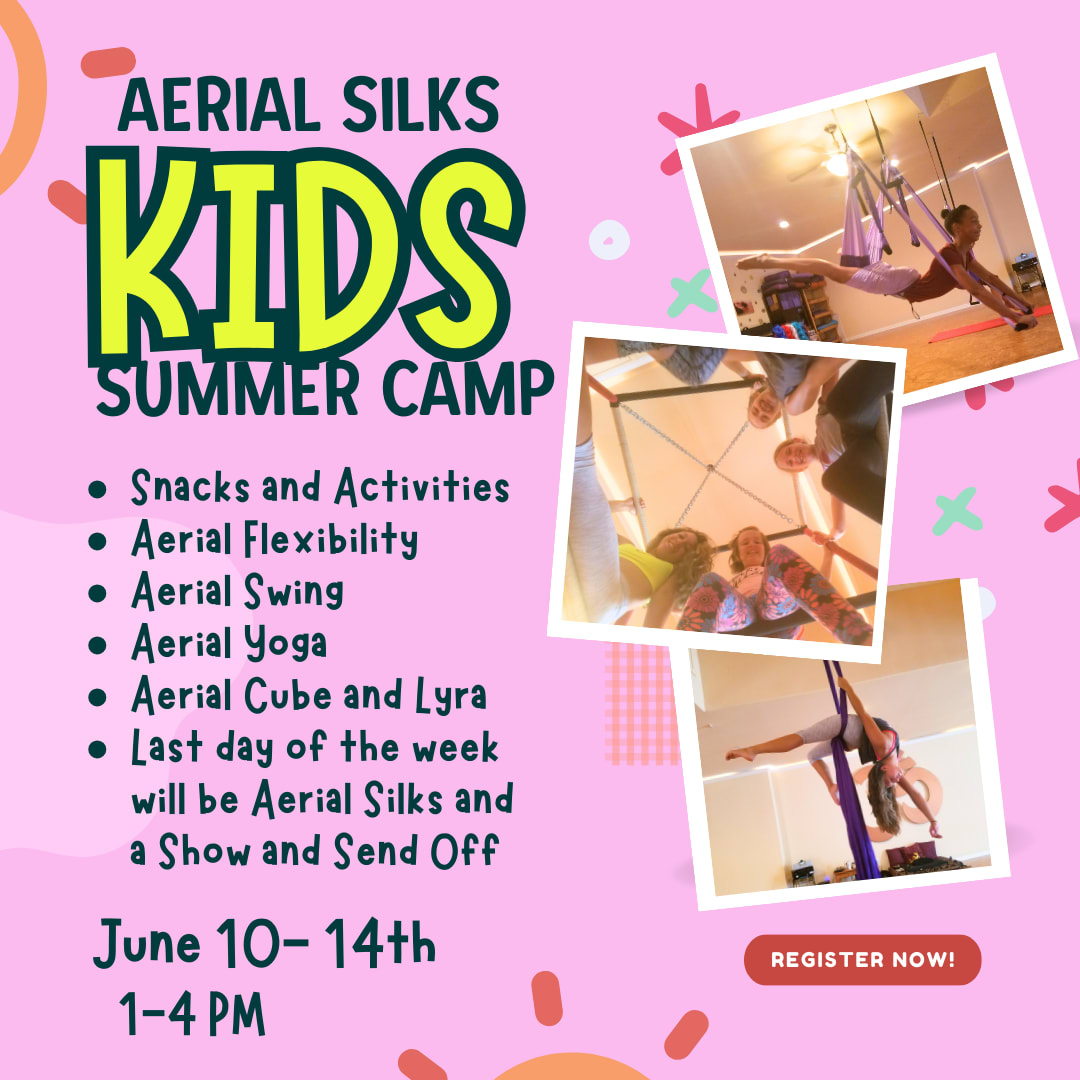 Aerial Kids Summer Camp in Friendswood