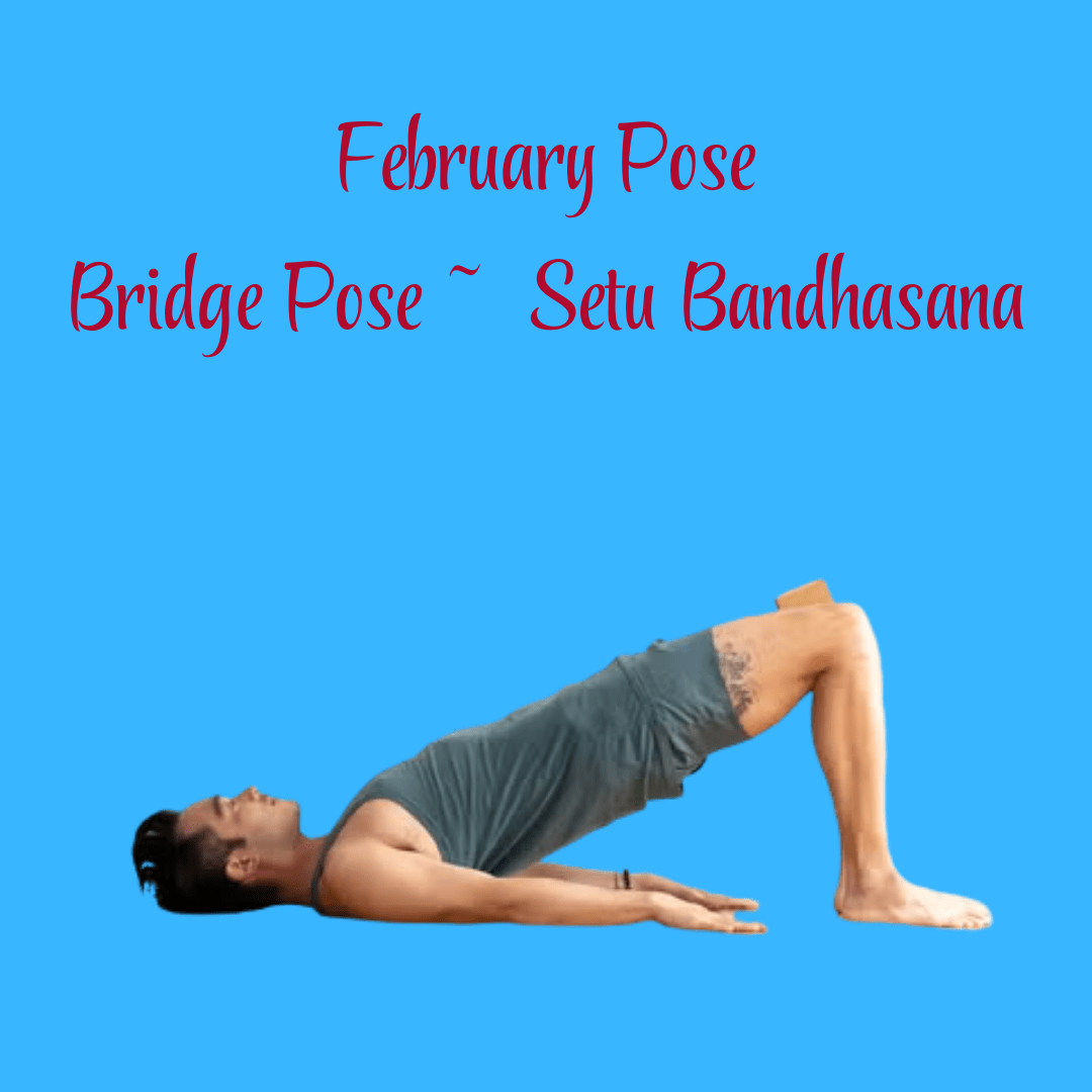 February Pose in Kingwood