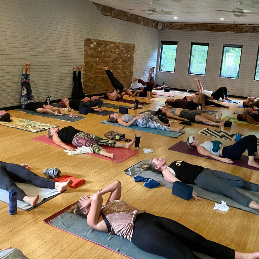 December Pose in Kingwood