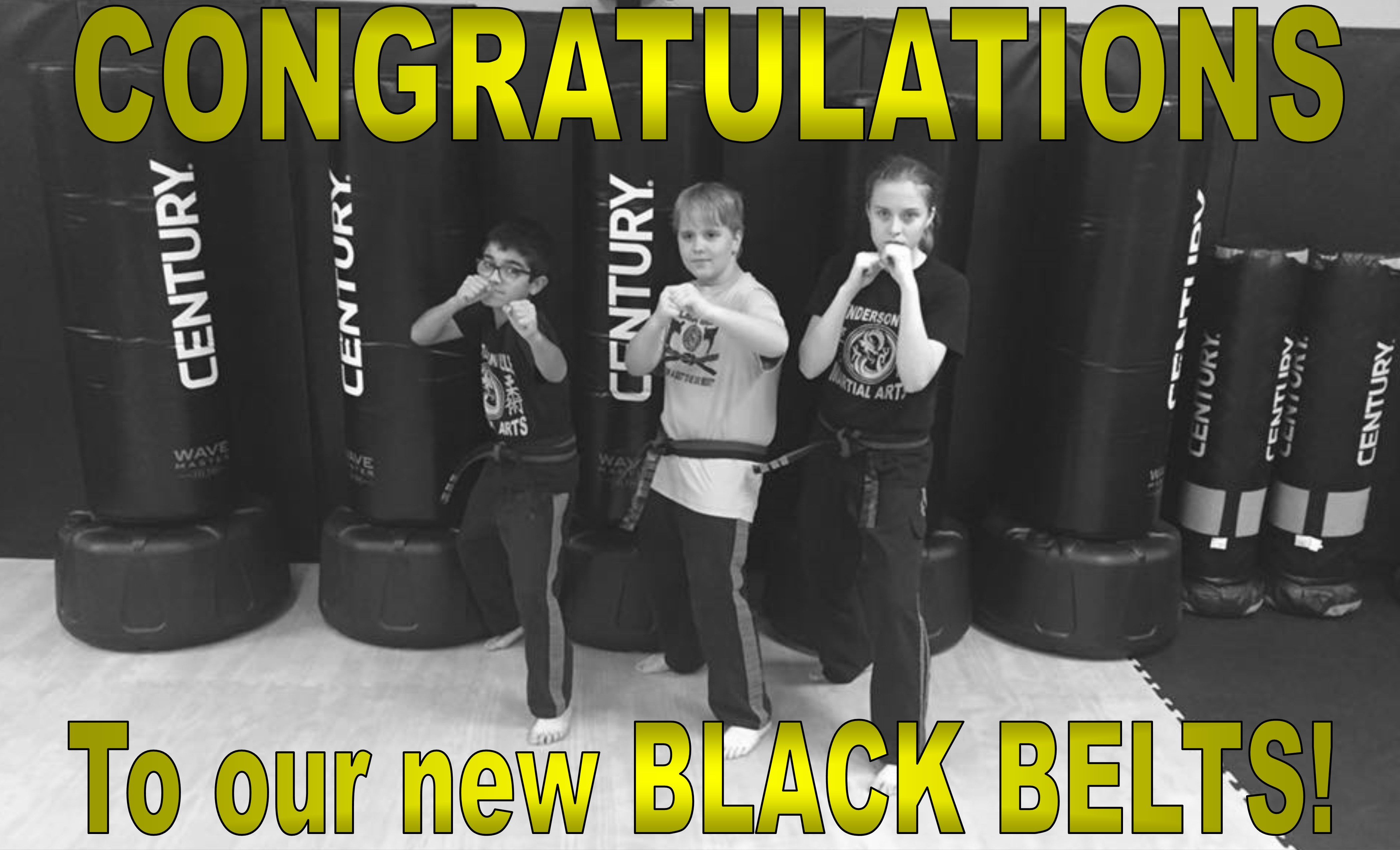 Congratulations to our new Jr. Black Belts!