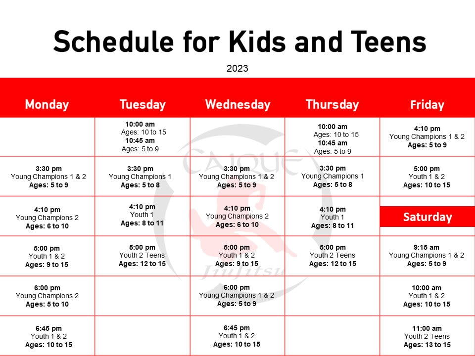 Kids Brazilian Jiu Jitsu near Lomita