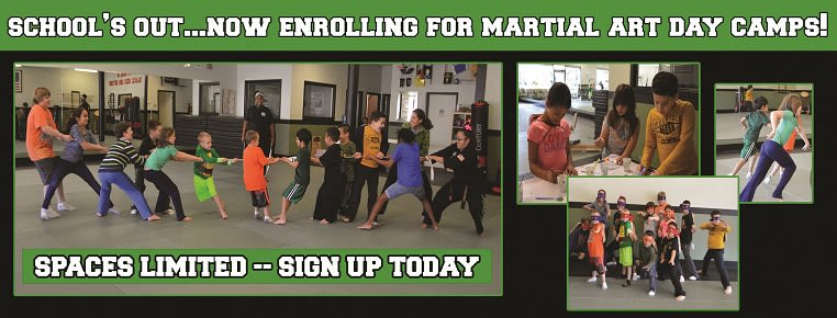 Schools Out - Martial Art Day Camp - 2/17/20 in Woodland