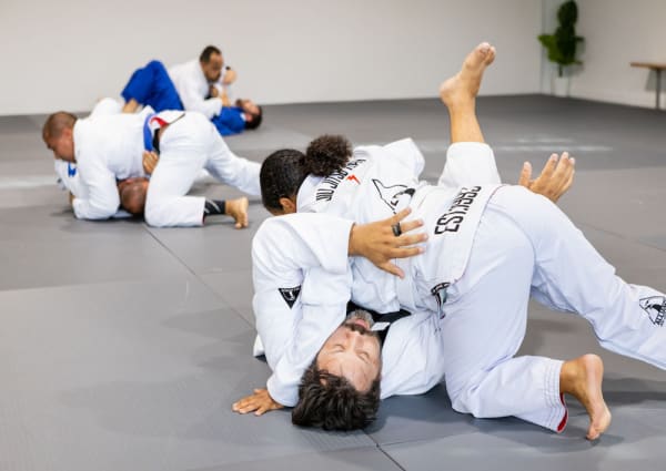 Coral Springs Martial Arts Programs - Alliance Brazilian Jiu-Jitsu - Coral  Springs, Florida