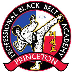 Dylan Martin Instructor in Princeton