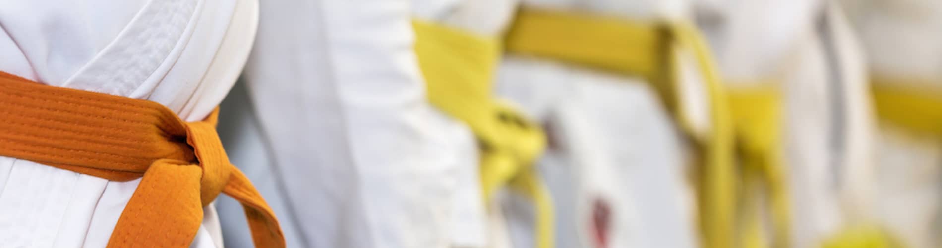 Brazilian Jiu Jitsu and Martial Arts near Wilmington