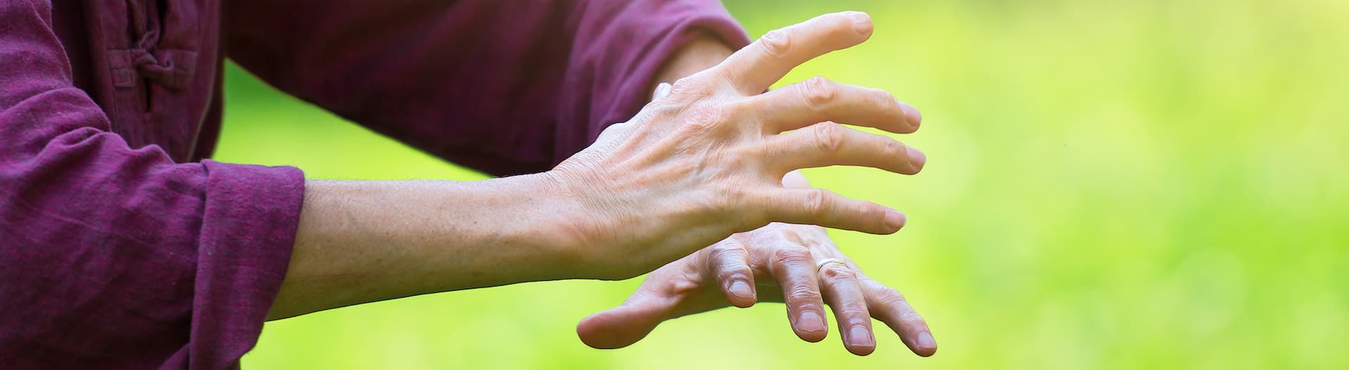 Tai Chi Westchester County