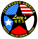 David Franklin Instructor in Irving