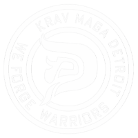Self-defense Detroit