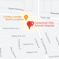 7501 N Cimarron Rd #103, Las Vegas, Nevada 89131 