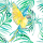 Parrots