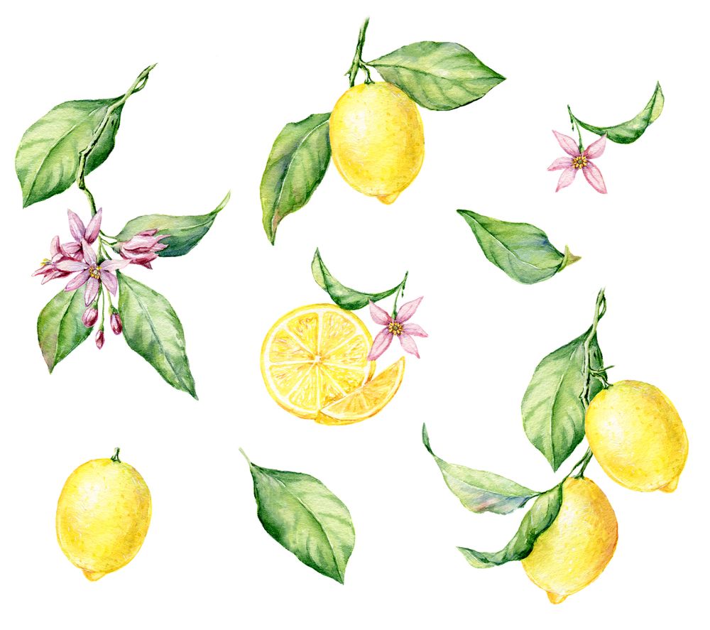Lemons