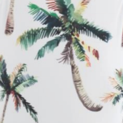 Palmtrees