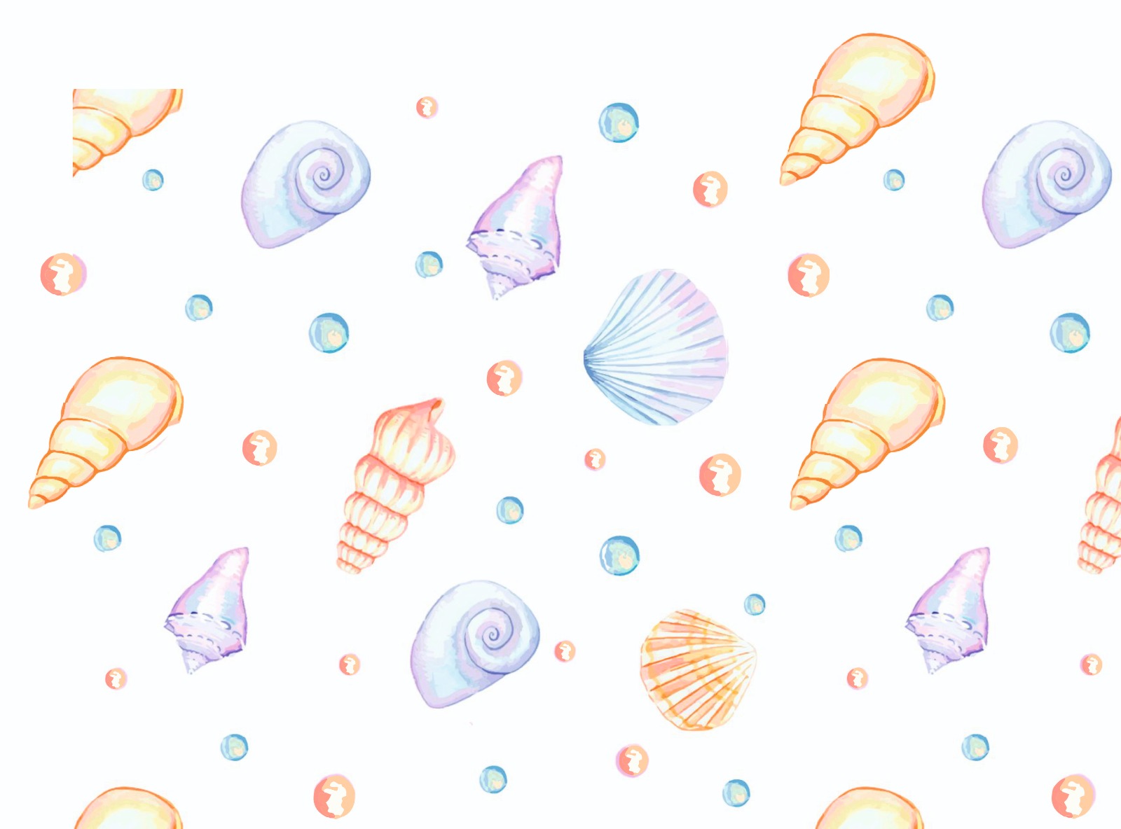 Seashells