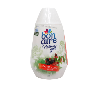 BON GEL CONO FRUTOS ROJOS 12*170GR 0101