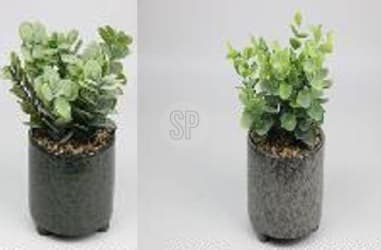 Blómapottur 11x20 með grænni plöntu 3 tegundir