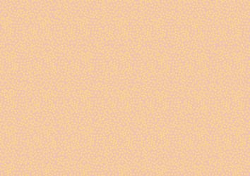 Braun Company Gjafapappír 2m x 70cm Minidots blush