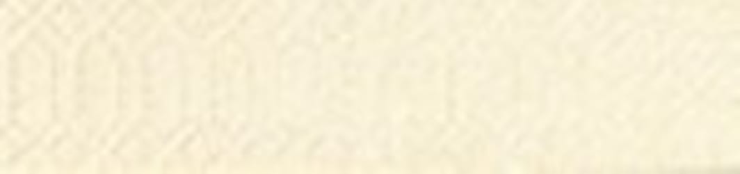 Duni CA serv. kremaðar 24 cm