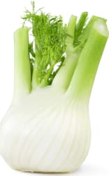 Fennel 5 kg