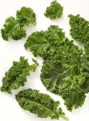 Grænkál - Curly Kale 1,5kg