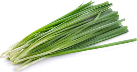 Graslaukur