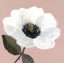 HAMMOND-Mini Gjafak 80x80mm. White  (10)