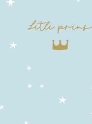 HAMMOND-Mini Gjafak 80x80mm.Prins (10)