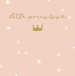 HAMMOND-Mini Gjafak 80x80mm.Prinses (10)