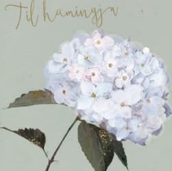 HAMMOND-Mini Gjafakort 80x80mm. (10)