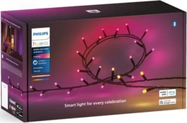 Hue Festavia String Lights 250