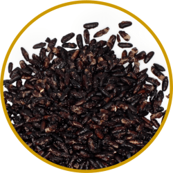 Jorda Crispy Black Rice 250g
