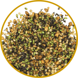 Jorda Crispy Wasabi Furikake 200g