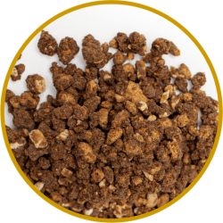 Jorda Speculoos & hazelnut crunch 400g