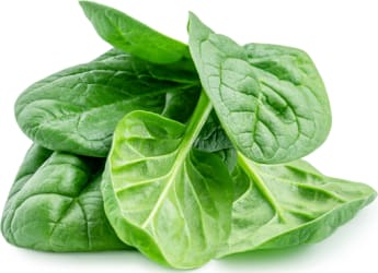 Lífrænt spínat  100 gr