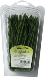 Náttúra Graslaukur