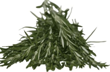 Rósmarin ferskt 1kg