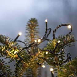 Star Trading Ljósasería microLED 3m hlý hvít