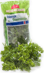 SFG Íslensk Steinselja