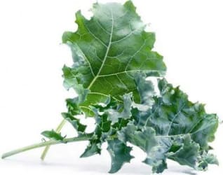 Véritable Grænkál Lingot lífrænt