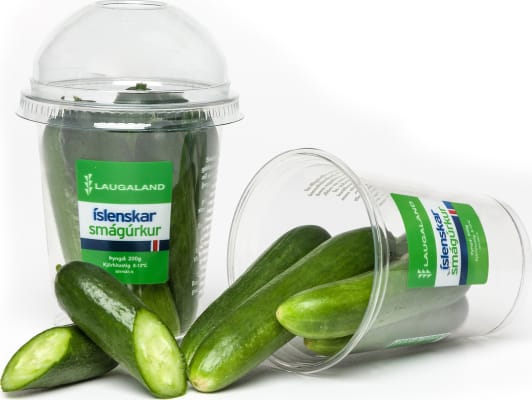 SFG Íslenskar Smágúrkur