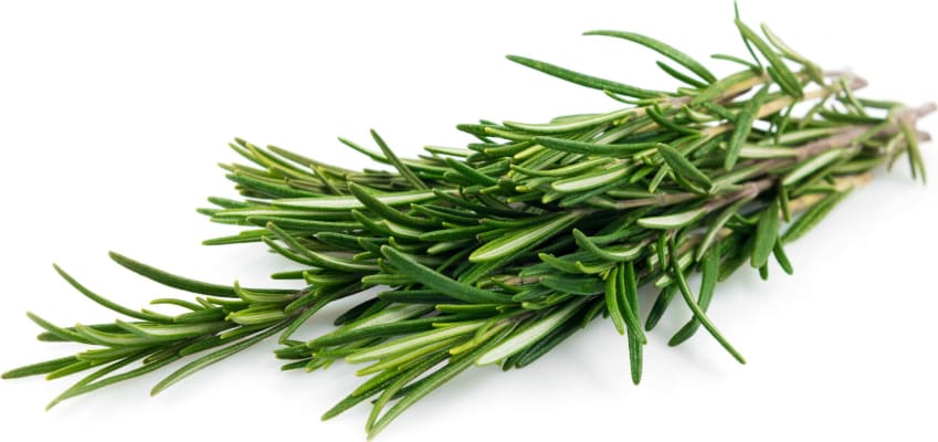 Rósmarin ferskt 50 g